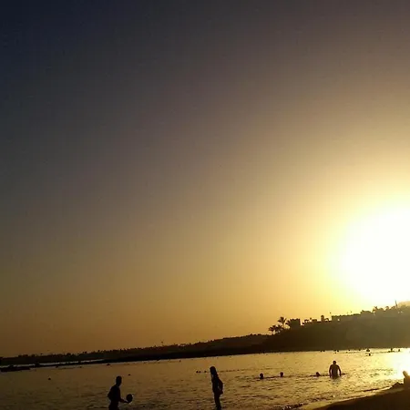 Sara 5 公寓 普拉亚布兰卡